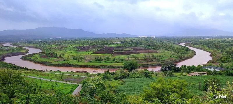 Nivedita